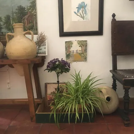 El Zaguan Pensión Granada