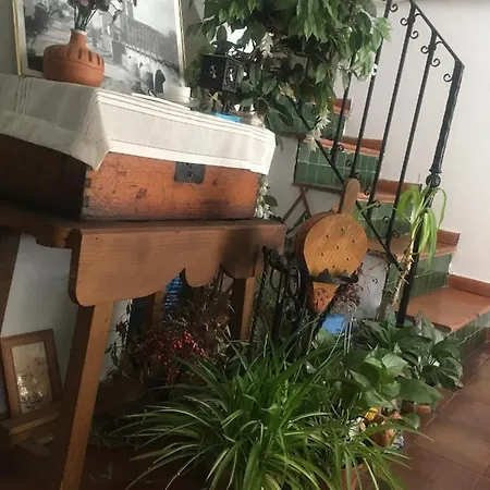 埃尔扎古安酒店 2* 格拉纳达